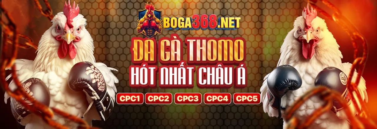 Hình ảnh chính q388 nhà cái