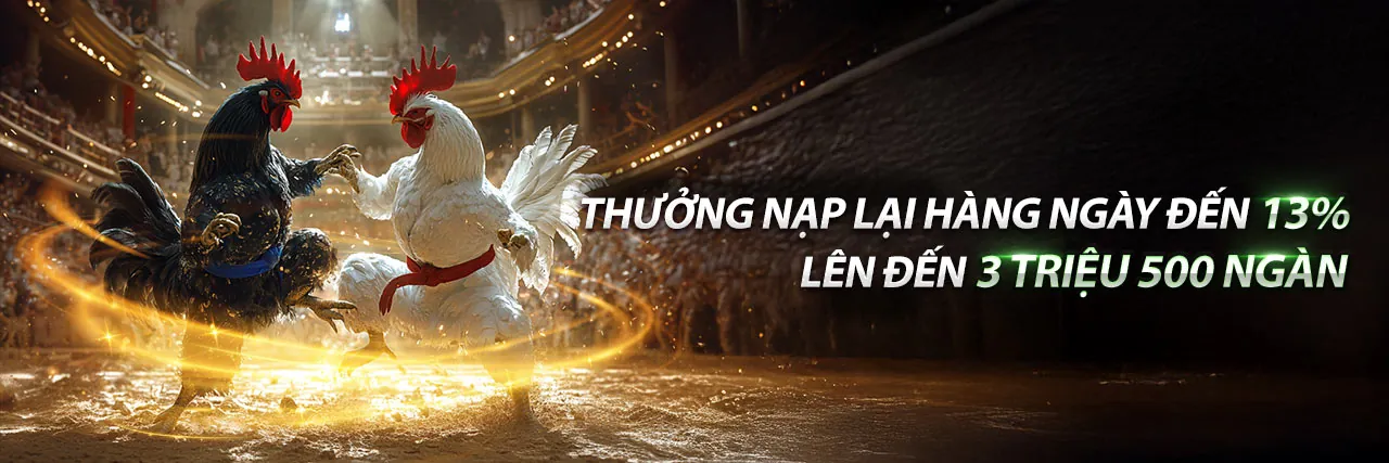 Cá cược thể thao đỉnh cao tại q388 nhà cái